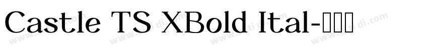 Castle TS XBold Ital字体转换